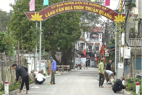 Hành phi ở Làng nghề Thuận Quang là nổi tiếng nhất